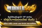 winner559